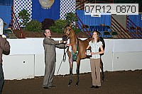 07r12_0870 proof