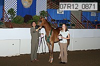07r12_0871 proof