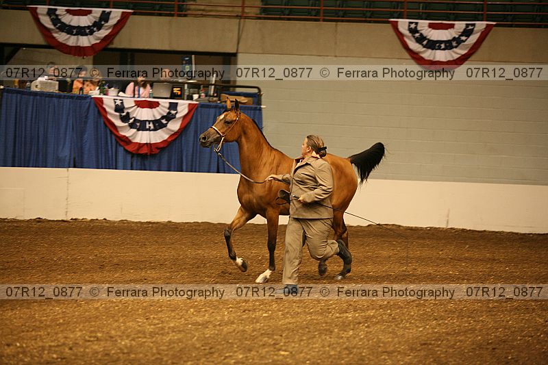 Proof 07r12_0877
