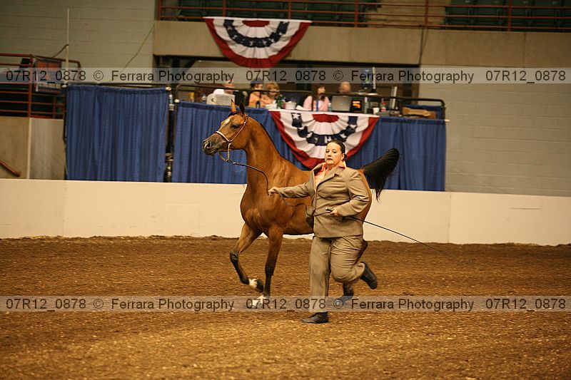 Proof 07r12_0878