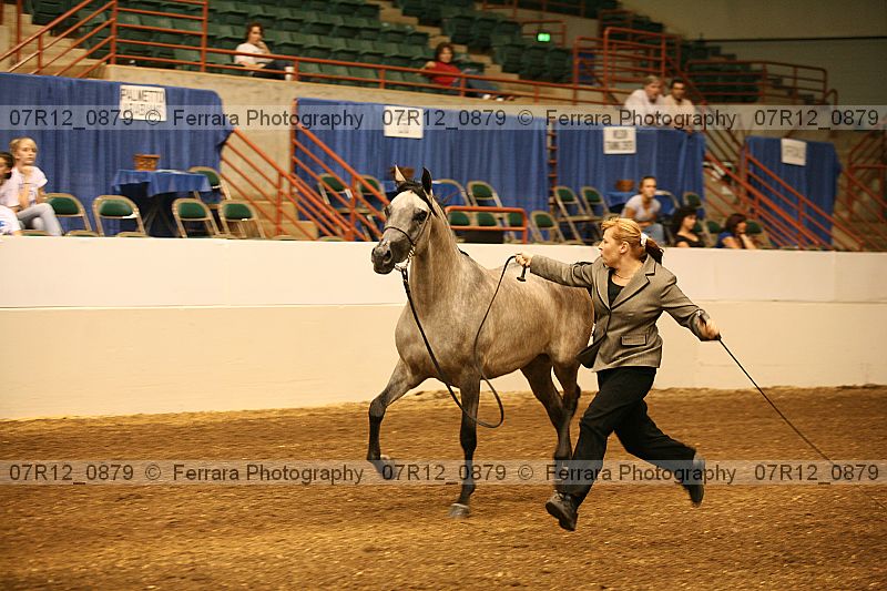 Proof 07r12_0879
