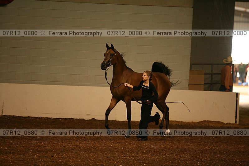 Proof 07r12_0880