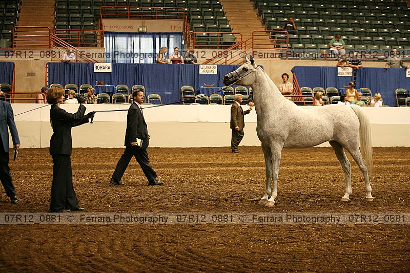 Proof 07r12_0881