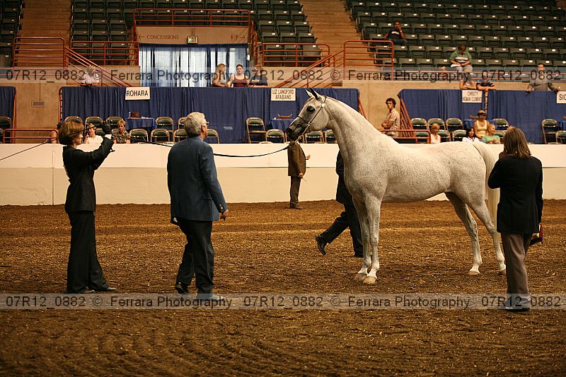 Proof 07r12_0882