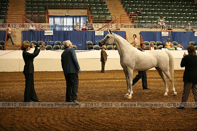 Proof 07r12_0883