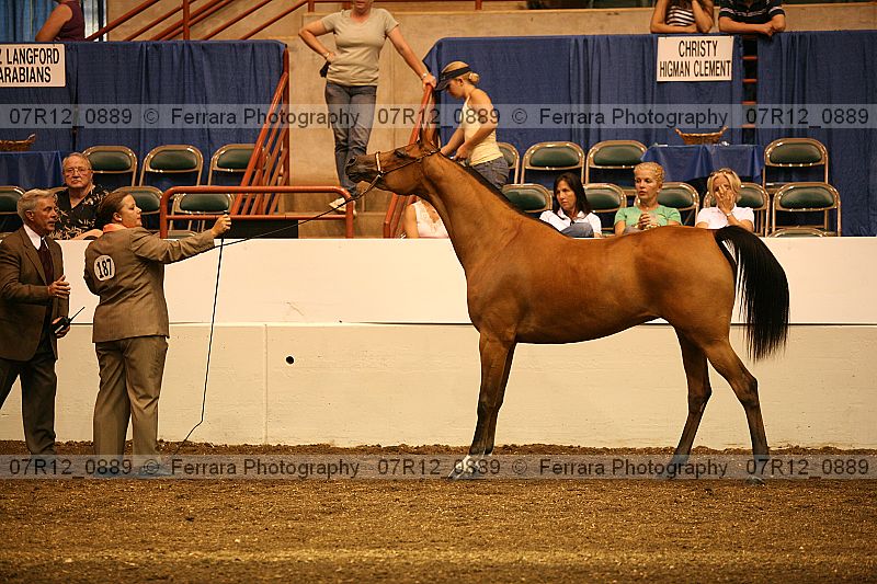 Proof 07r12_0889
