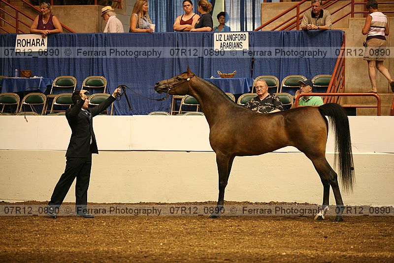 Proof 07r12_0890