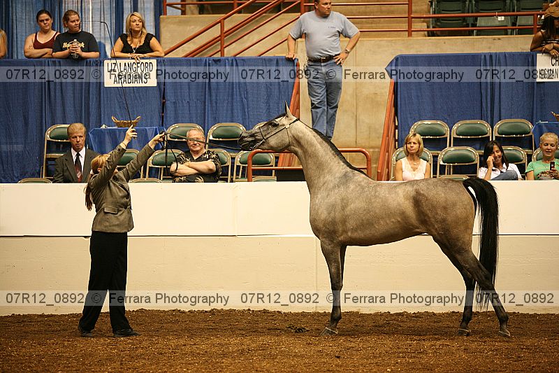 Proof 07r12_0892