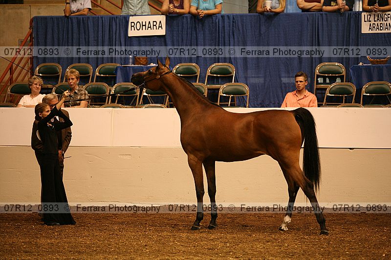Proof 07r12_0893