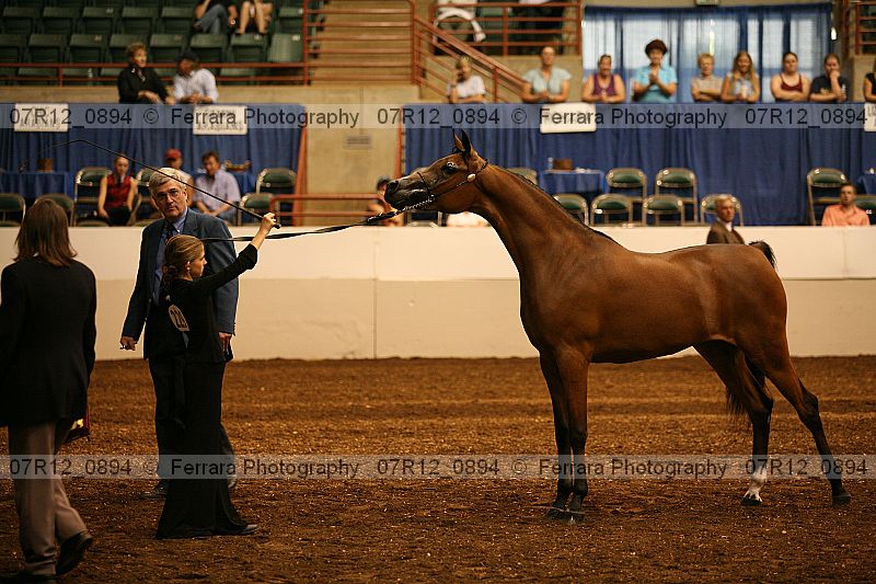 Proof 07r12_0894