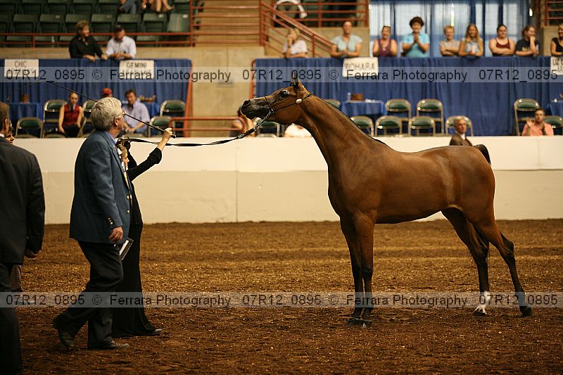 Proof 07r12_0895