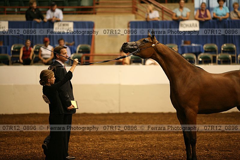 Proof 07r12_0896