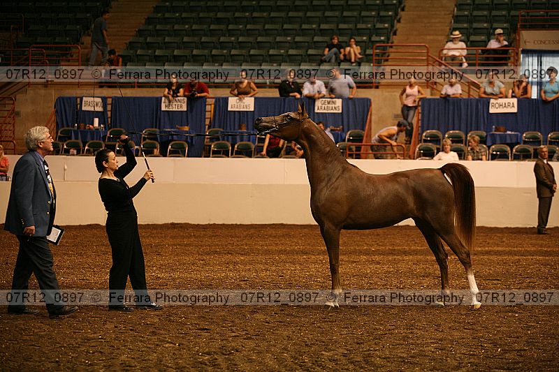 Proof 07r12_0897