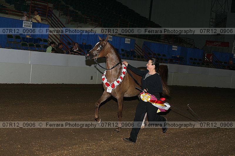 Proof 07r12_0906