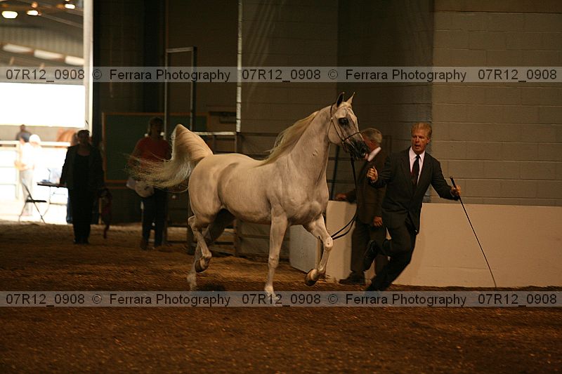 Proof 07r12_0908