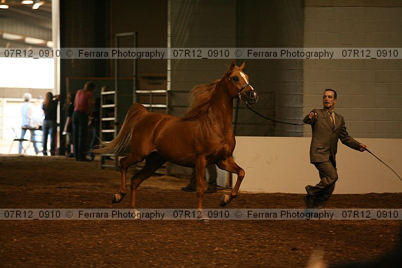 Proof 07r12_0910