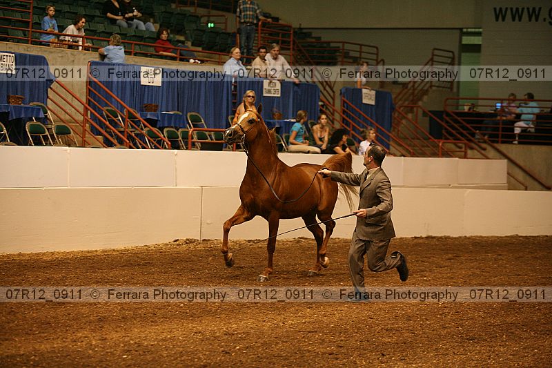 Proof 07r12_0911