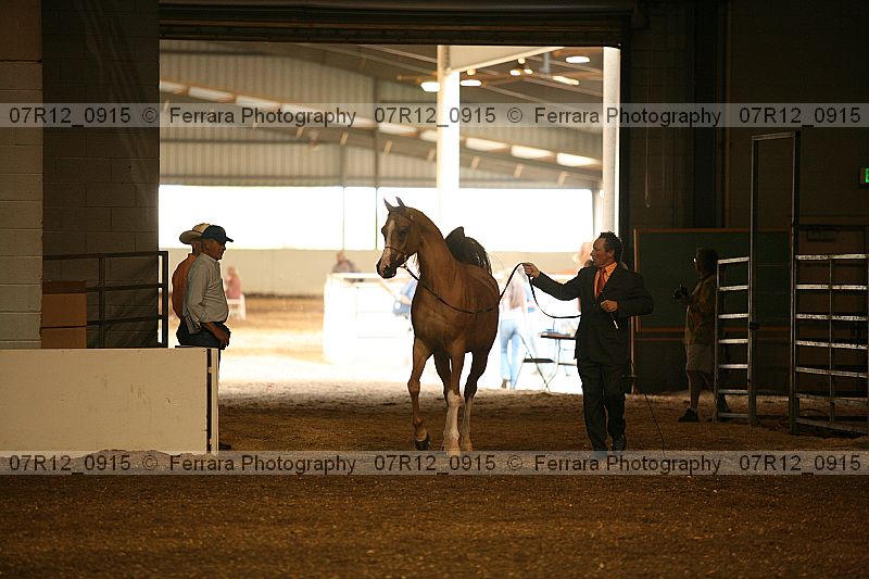 Proof 07r12_0915
