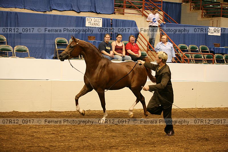 Proof 07r12_0917