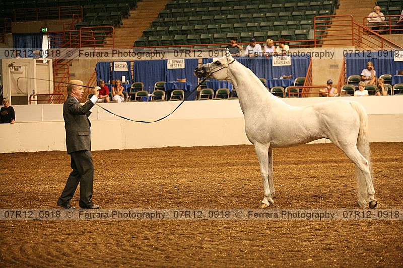 Proof 07r12_0918