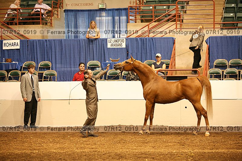 Proof 07r12_0919