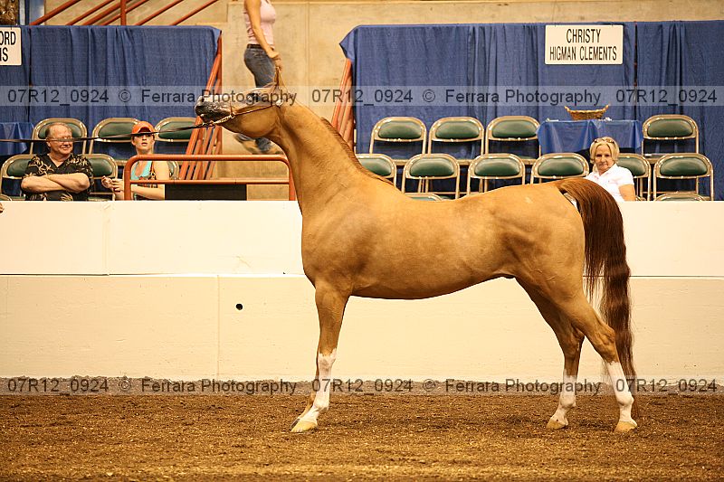 Proof 07r12_0924