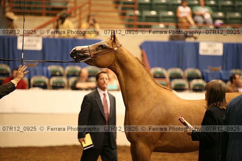 Proof 07r12_0925