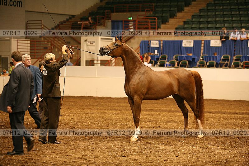 Proof 07r12_0929