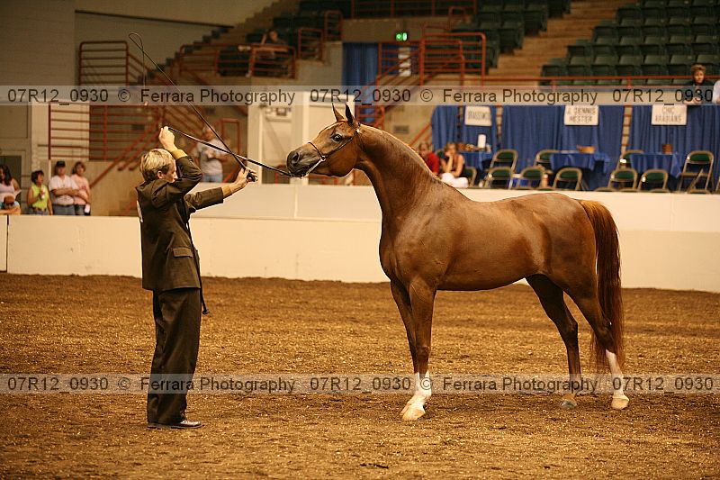 Proof 07r12_0930