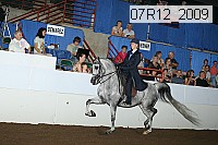07r12_2009 proof