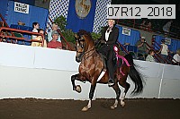 07r12_2018 proof