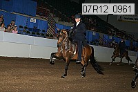 07r12_0961 proof