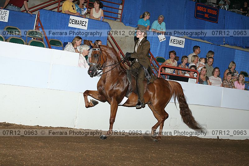 Proof 07r12_0963