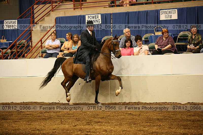 Proof 07r12_0966