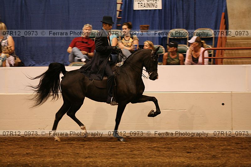 Proof 07r12_0973