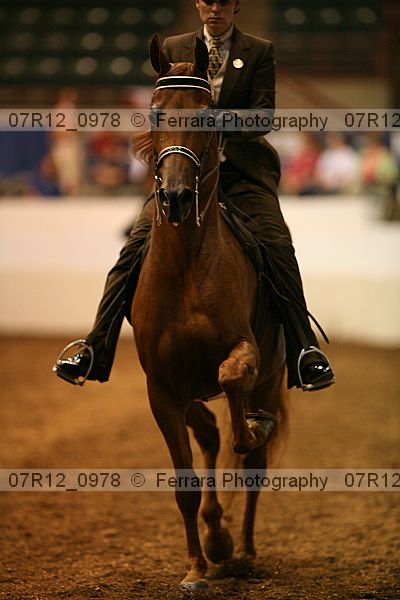 Proof 07r12_0978