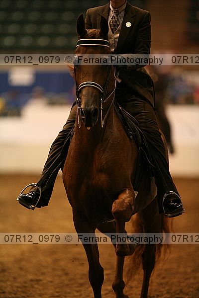 Proof 07r12_0979
