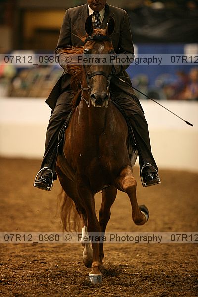 Proof 07r12_0980