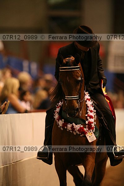 Proof 07r12_0989