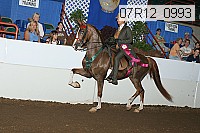 07r12_0993 proof