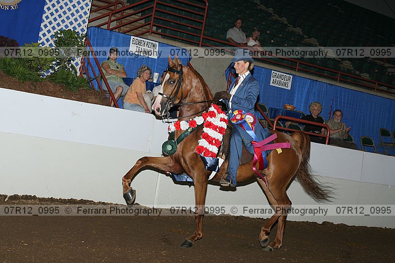 Proof 07r12_0995