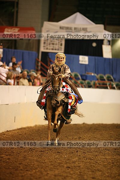 Proof 07r12_1163