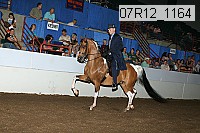 07r12_1164 proof