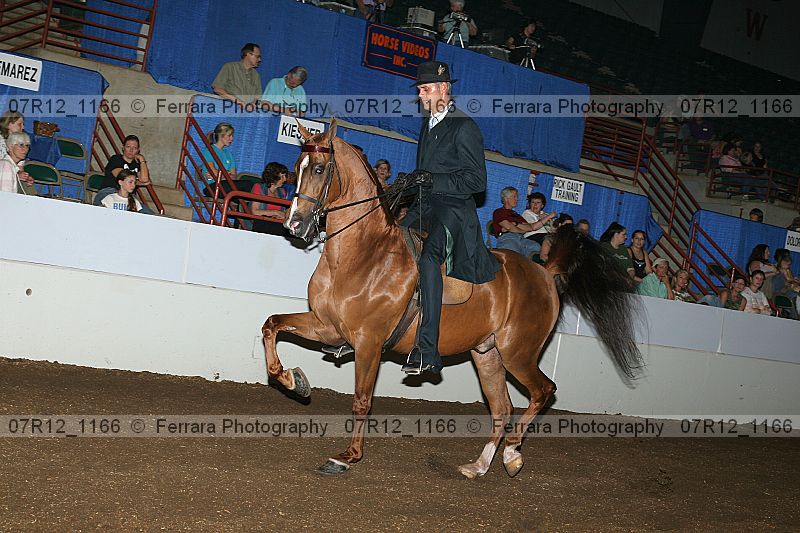 Proof 07r12_1166