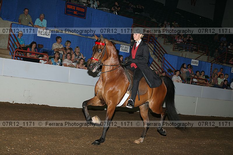 Proof 07r12_1171