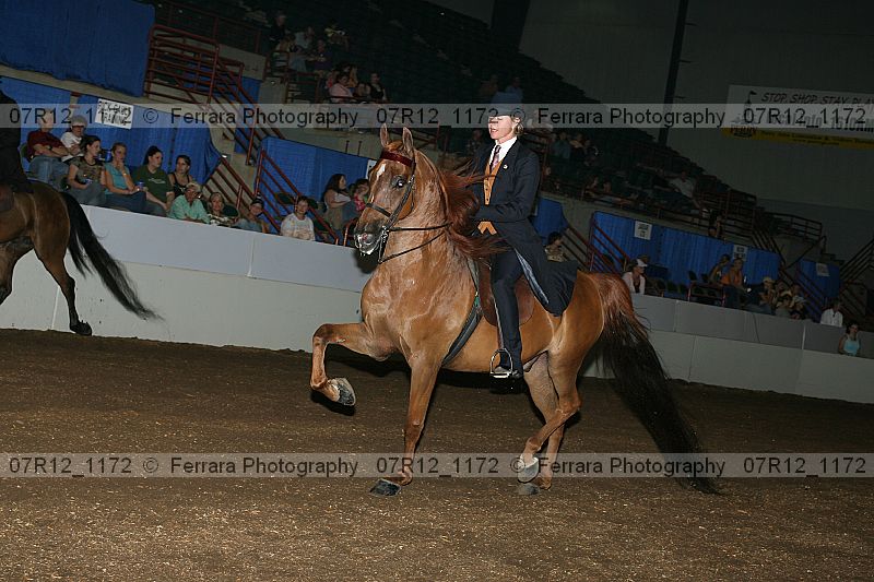 Proof 07r12_1172