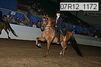 07r12_1172 proof