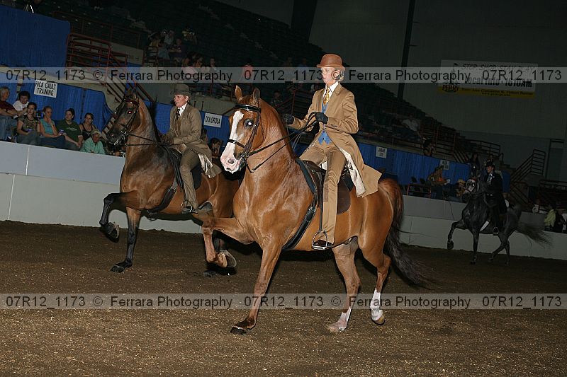Proof 07r12_1173