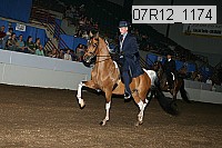 07r12_1174 proof