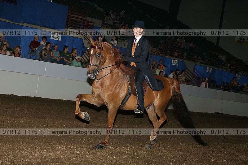 Proof 07r12_1175